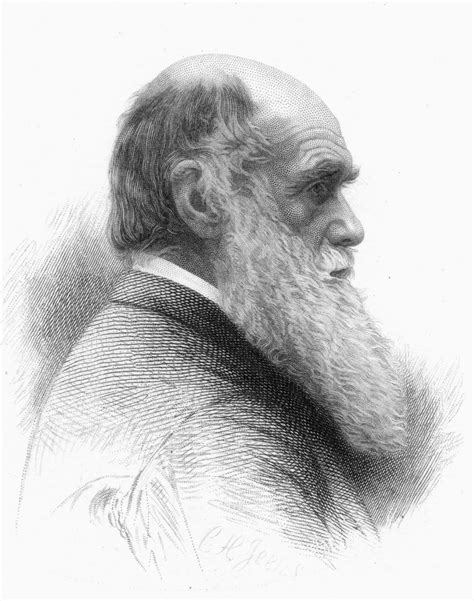 darwin was a passionate amateur|what happened to charles darwin.